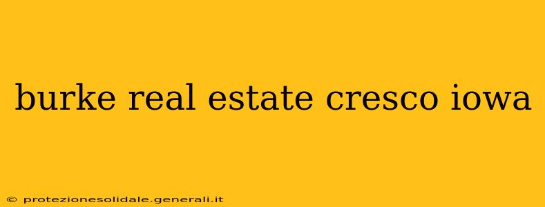 burke real estate cresco iowa
