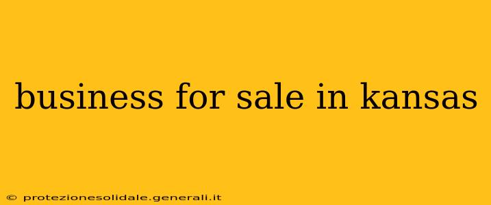 business for sale in kansas