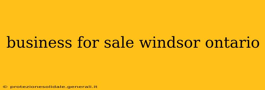 business for sale windsor ontario