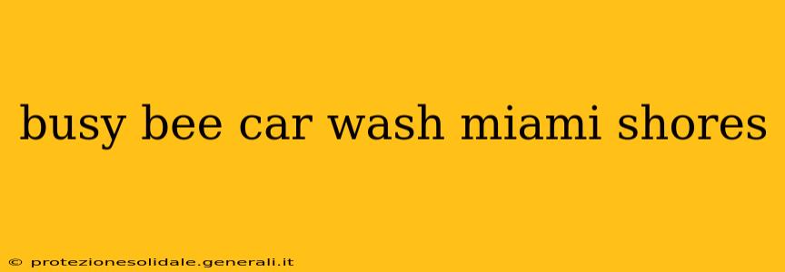 busy bee car wash miami shores