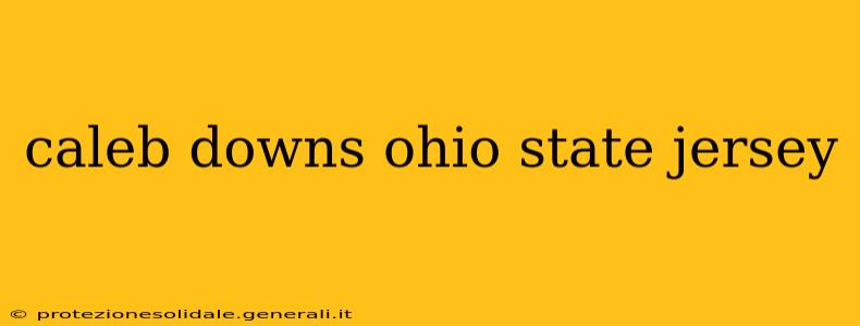 caleb downs ohio state jersey
