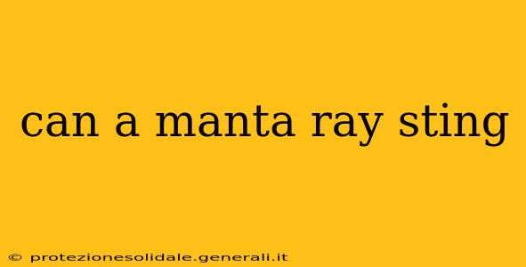 can a manta ray sting
