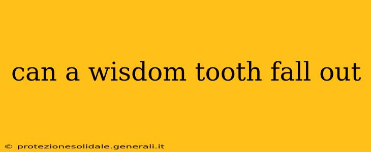can a wisdom tooth fall out