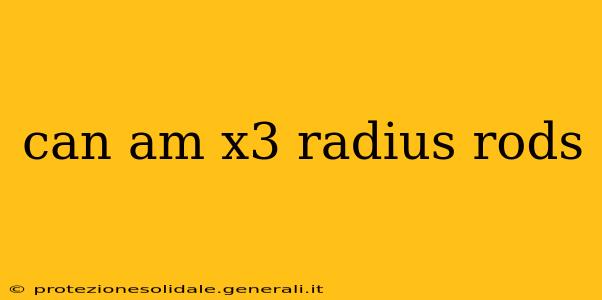 can am x3 radius rods