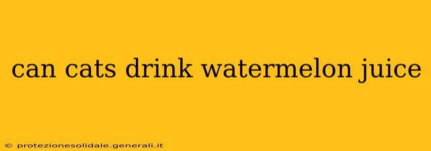 can cats drink watermelon juice