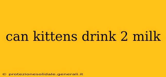 can kittens drink 2 milk