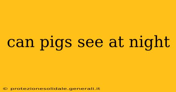 can pigs see at night