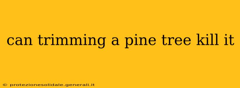 can trimming a pine tree kill it