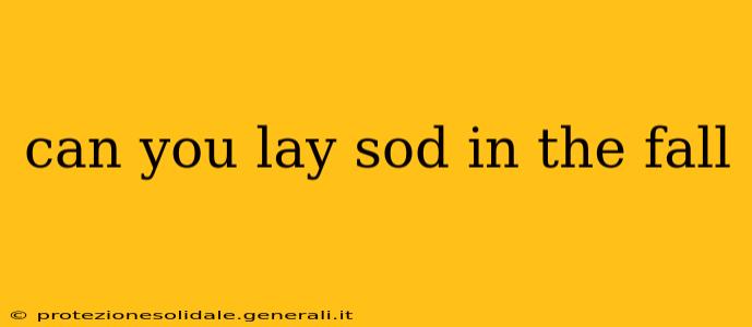 can you lay sod in the fall