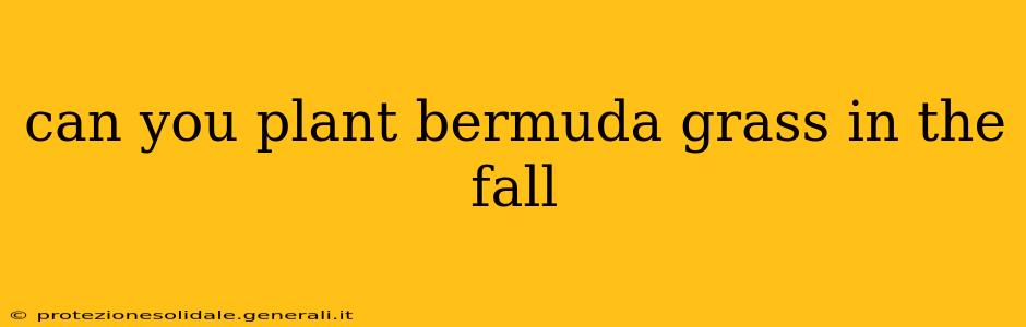 can you plant bermuda grass in the fall