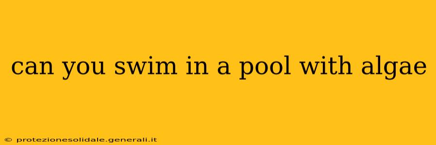 can you swim in a pool with algae