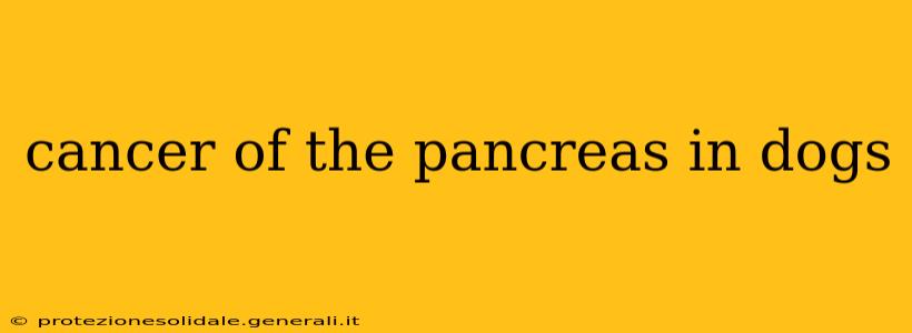 cancer of the pancreas in dogs