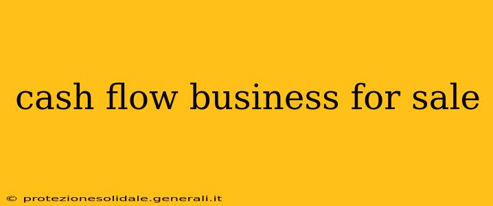 cash flow business for sale
