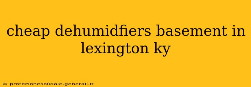 cheap dehumidfiers basement in lexington ky