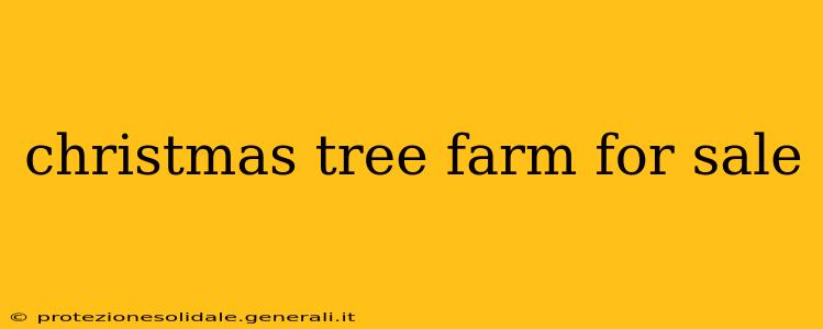 christmas tree farm for sale