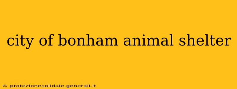 city of bonham animal shelter
