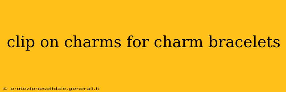 clip on charms for charm bracelets
