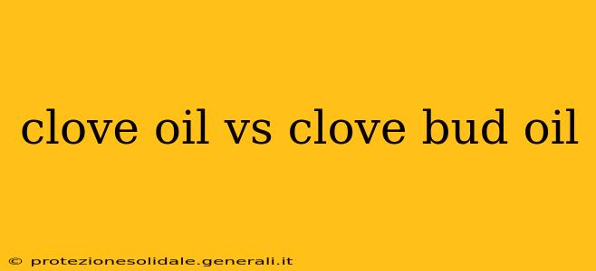 clove oil vs clove bud oil