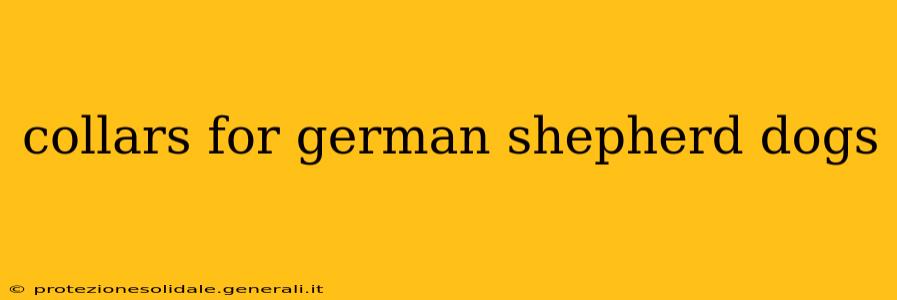 collars for german shepherd dogs