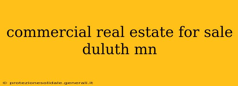 commercial real estate for sale duluth mn