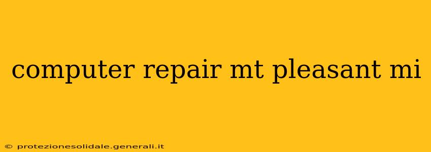 computer repair mt pleasant mi