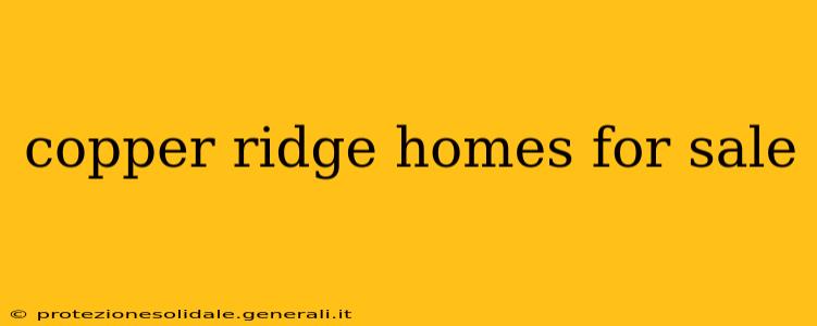 copper ridge homes for sale
