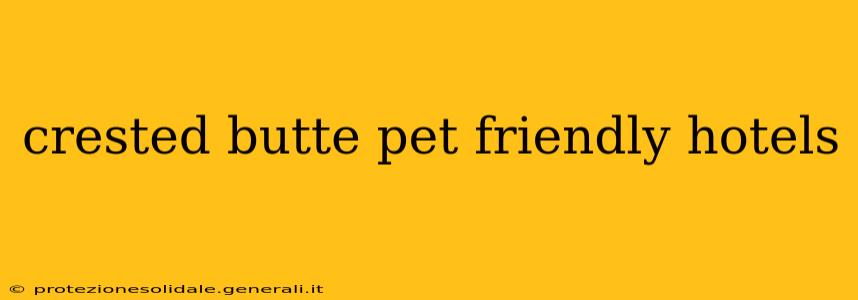 crested butte pet friendly hotels