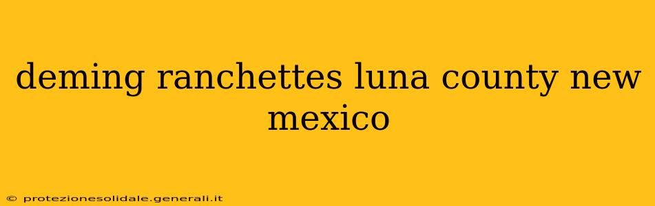 deming ranchettes luna county new mexico
