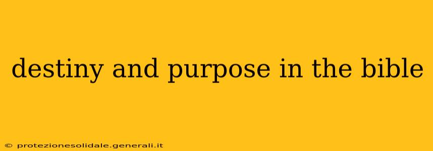 destiny and purpose in the bible