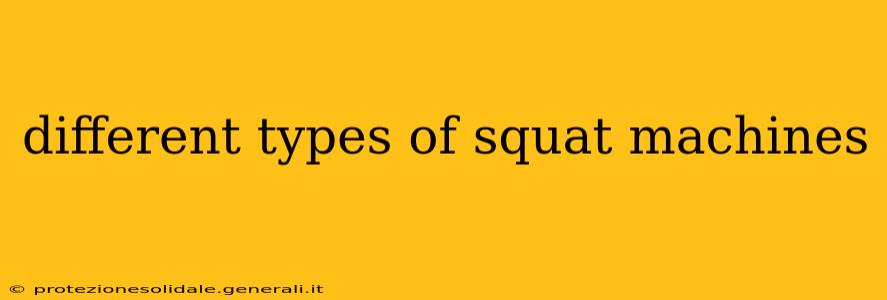 different types of squat machines