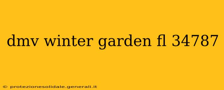 dmv winter garden fl 34787