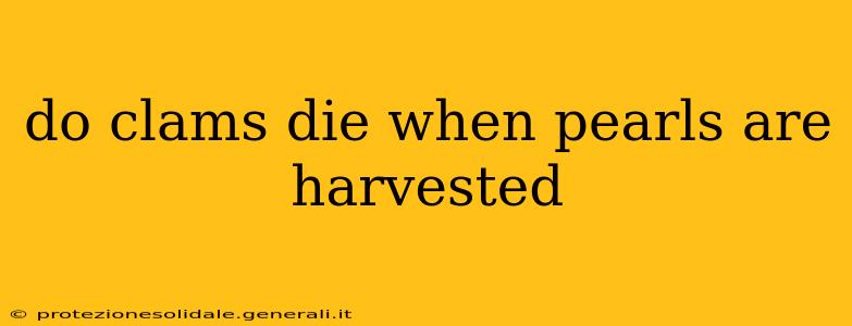 do clams die when pearls are harvested