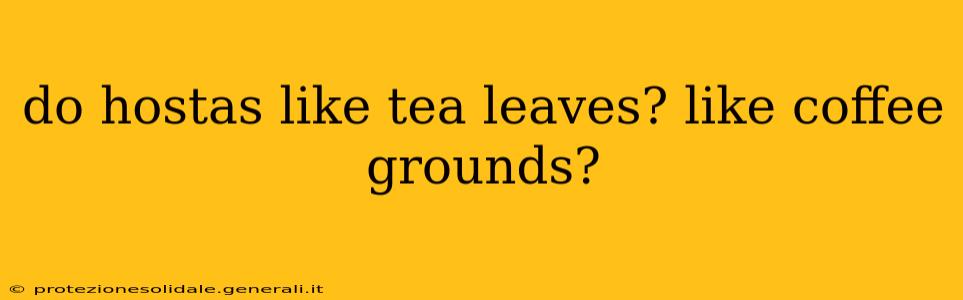 do hostas like tea leaves? like coffee grounds?