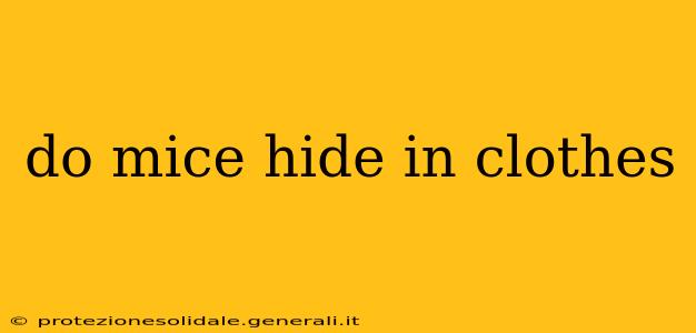do mice hide in clothes