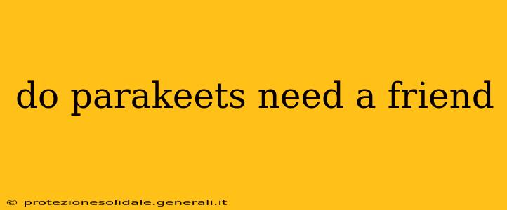 do parakeets need a friend