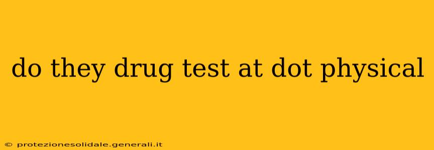 do they drug test at dot physical