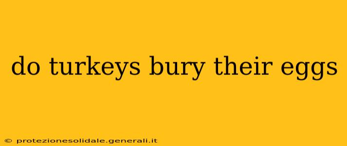 do turkeys bury their eggs