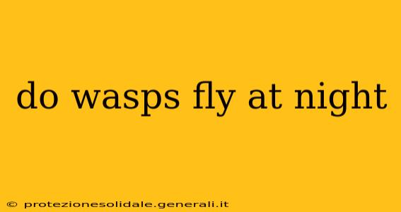 do wasps fly at night