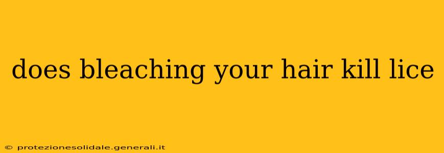 does bleaching your hair kill lice