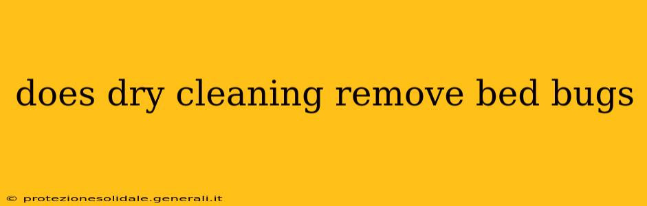 does dry cleaning remove bed bugs