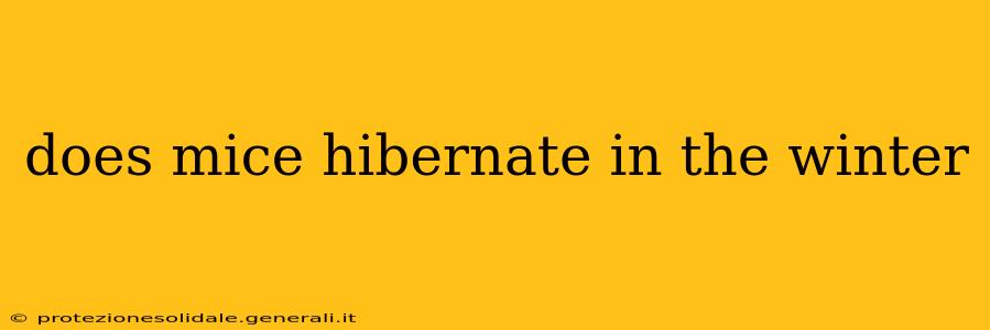 does mice hibernate in the winter