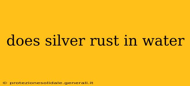 does silver rust in water