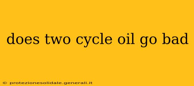 does two cycle oil go bad