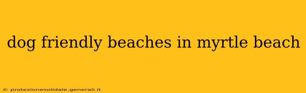 dog friendly beaches in myrtle beach