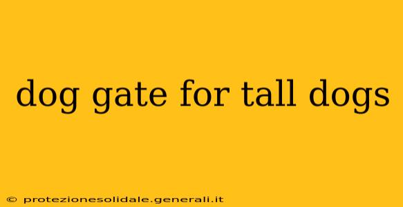 dog gate for tall dogs