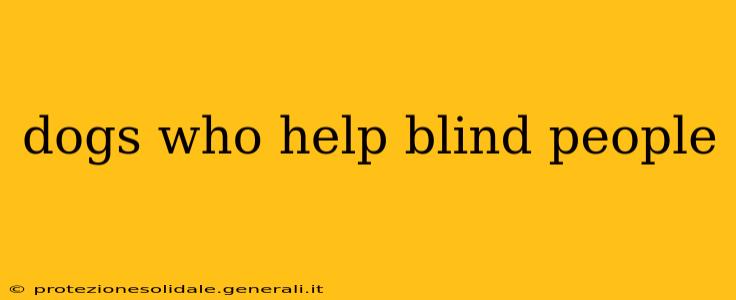 dogs who help blind people