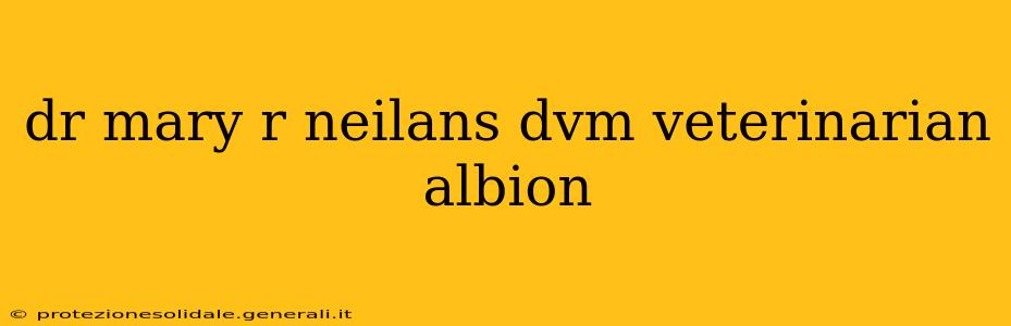 dr mary r neilans dvm veterinarian albion