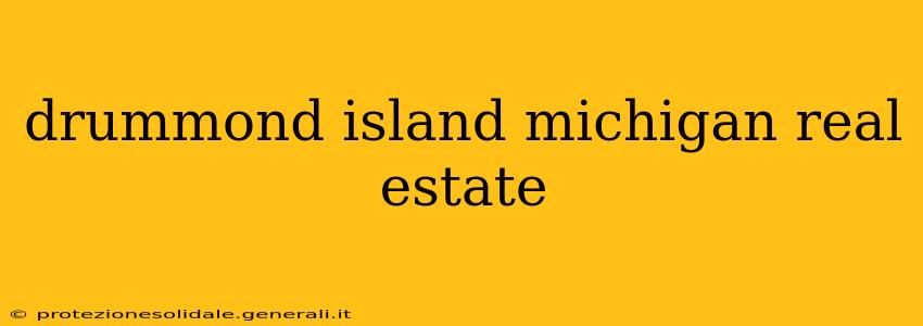 drummond island michigan real estate