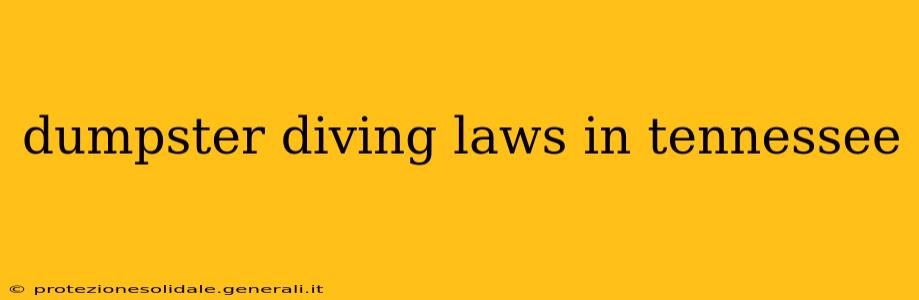 dumpster diving laws in tennessee
