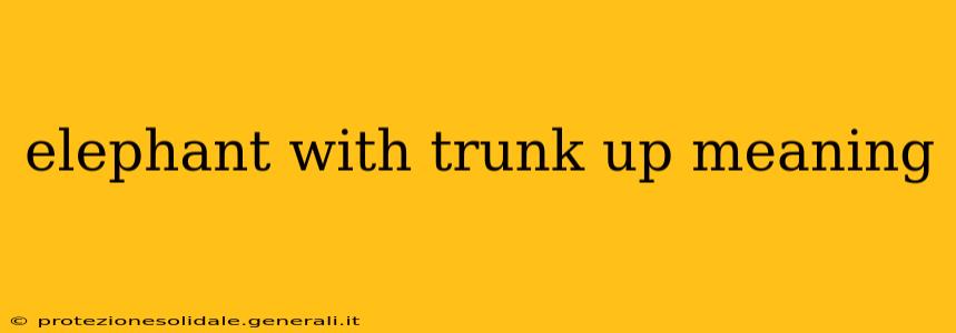 elephant with trunk up meaning